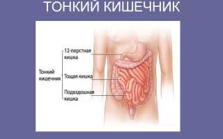 Синдром избыточного бактериального роста кишечника у детей